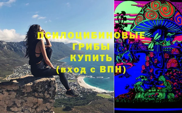 первитин Козловка