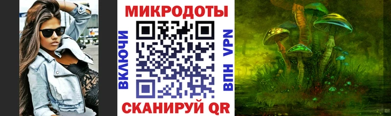 Купить закладки  Энгельс  Псилоцибиновые грибы MAGIC MUSHROOMS 